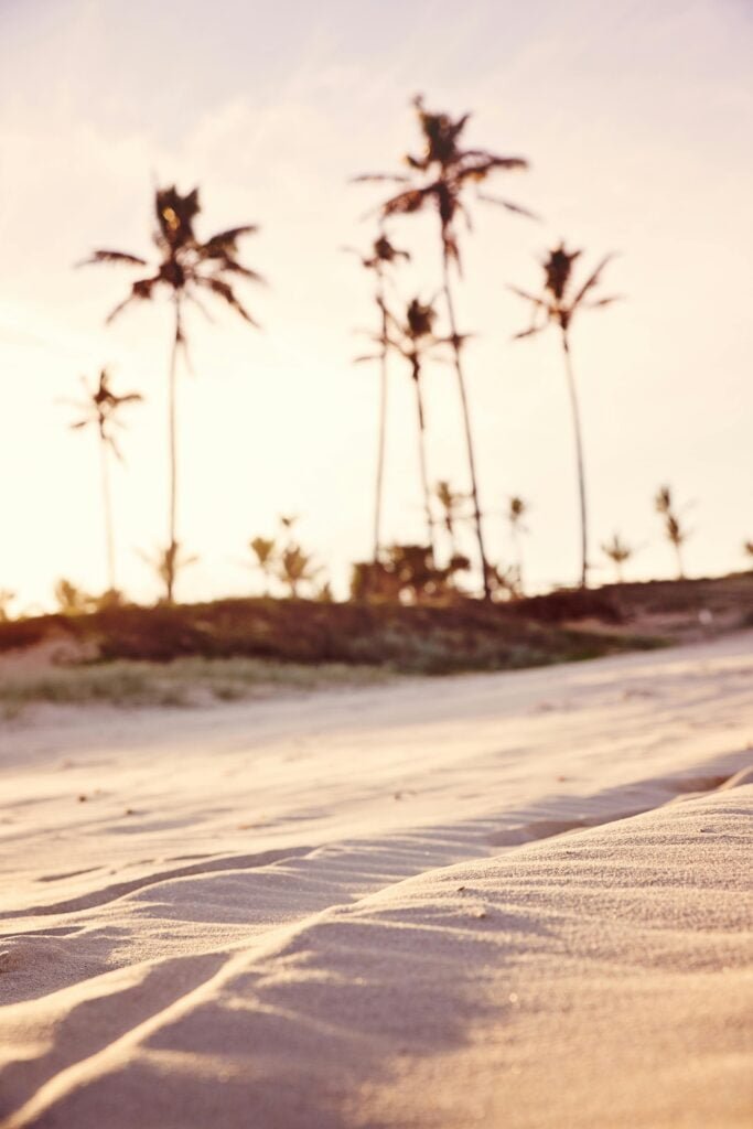 close up of sand with coconut trees in background 